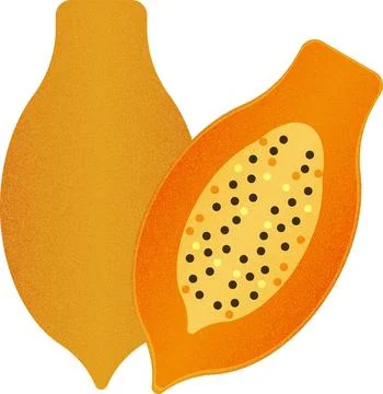 Vector fruit Papaya cartoon vector illustration isolated object Stock Illustration
