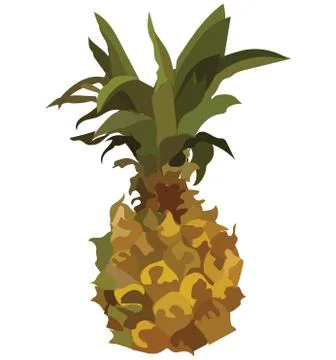 Vector fruit Pineapple. Stock Illustration