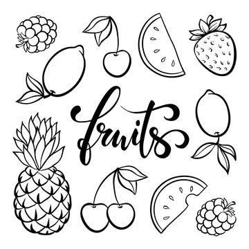 Vector fruit symbols, doodle outline drawing of tropical fruits berries, si.. 스톡 일러스트