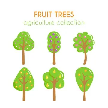 Vector fruit trees illustration Stock Illustration