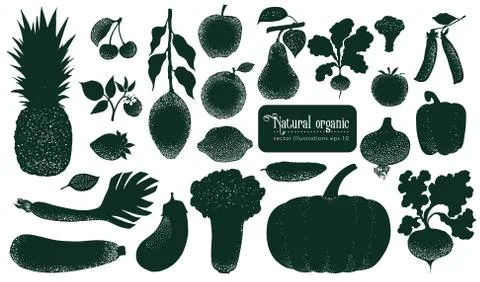 Vector fruita and vegetables silhouettes. Vintage illustrations. Hand drawn Stock Illustration