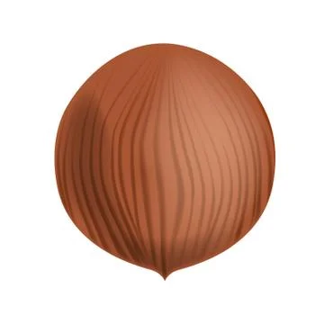 Vector Full and Unpeeled Realistic Hazelnut. Close up view isolated White Stock Illustration