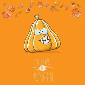 Vector funny cartoon cute orange smiling pumkin isolated on orange background 库存插图