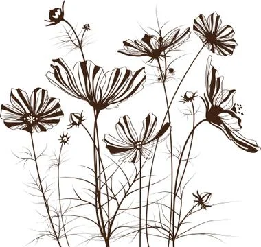 Vector garden flowers Stock Illustration