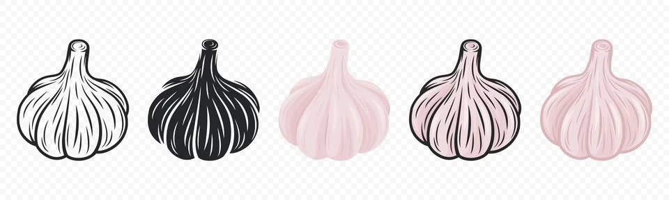 Vector Garlic Bulb Icon Set Closeup, Isolated. Vegetable Vector Illustration Stock Illustration