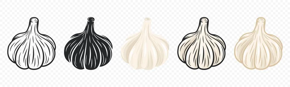 Vector Garlic Bulb Icon Set Closeup, Isolated. Vegetable Vector Illustration Stock Illustration