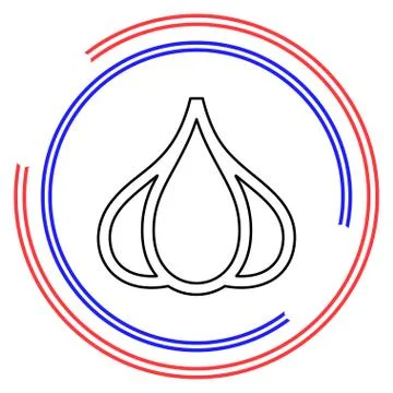 Vector Garlic illustration isolated Stock Illustration