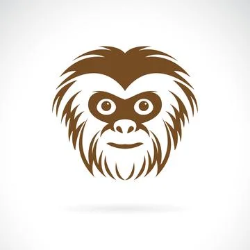 Vector of a gibbon face design on white background. Wildlife Animals. Easy .. Stock Illustration