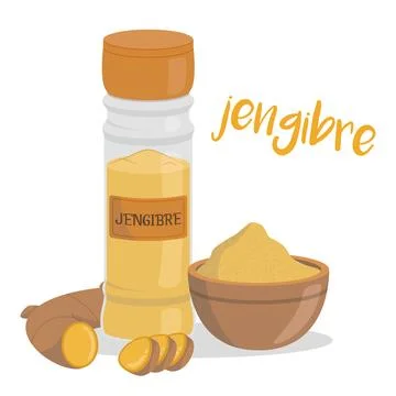 Vector ginger illustration isolated in cartoon style. Spanish name. Herbs a.. Stock Illustration