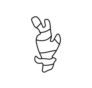 Vector ginger root with a black line.Simple food and cooking illustration Stock Illustration