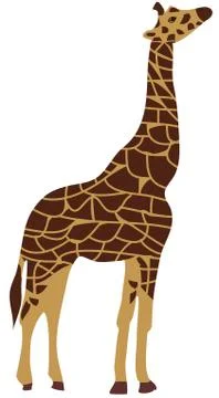 Vector Giraffe Isolated. Stock Illustration