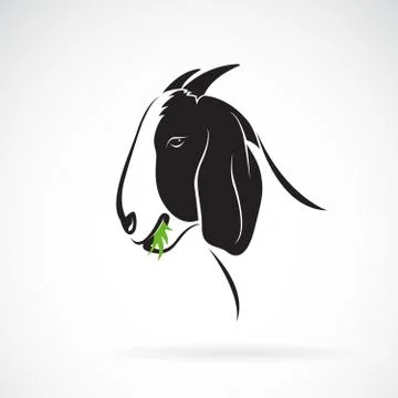 Vector of goat head that is eating grass on white background.  Animals farm.  Stock Illustration