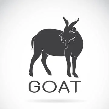 Vector of a goat on a white background. Wild Animals. Stock Illustration