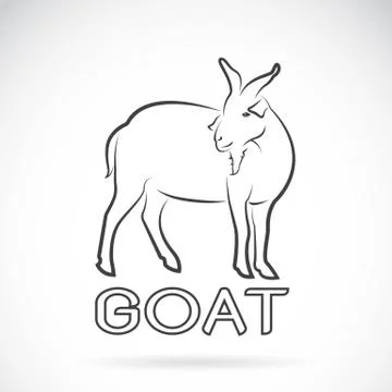 Vector of a goat on a white background. Wild Animals. Stock Illustration
