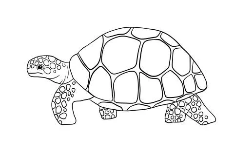 Vector going outline turtle isolated on white background. Hand drawn line doodle Stock Illustration