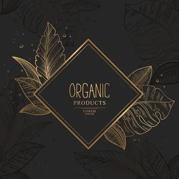 Vector gold logo with hand drawn trendy exotic palm and monstera leaves isola Stock Illustration