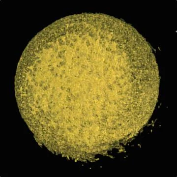 Vector gold paint smear stroke stain set. Abstract gold texture hand drawn on Stock Illustration