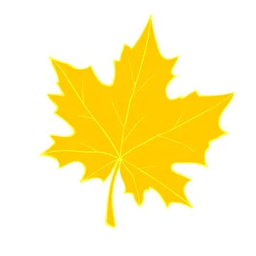 Vector golden maple leaf in flat doodle style, isolated on white background.  Stock Illustration