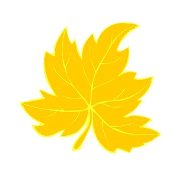 Vector golden maple leaf in flat doodle style, isolated on white background.  Stock Illustration