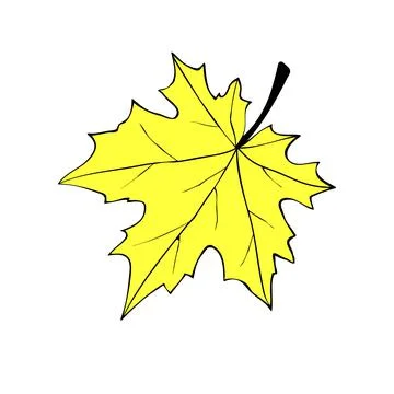 Vector golden maple leaf in flat doodle style, isolated on white background.  Stock Illustration