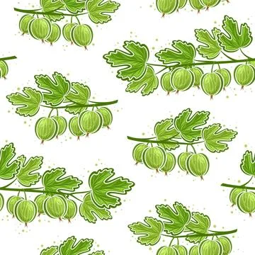 Vector Gooseberry Branches seamless pattern Stock Illustration