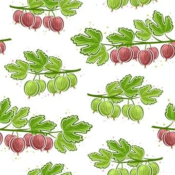 Vector Gooseberry Branches seamless pattern Stock Illustration