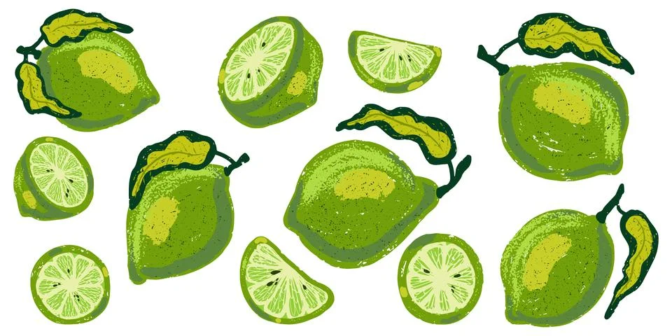 Vector grainy set of texture limes with leaves, design elements, grunge textu Stock Illustration