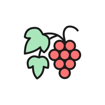 Vector grape branch with berries flat color line icon. Stock Illustration