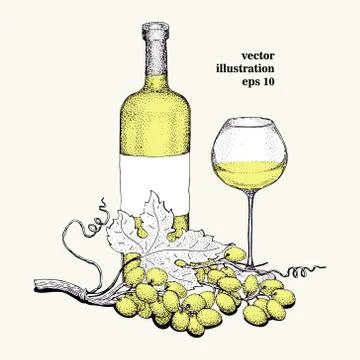 Vector grape, wine, glass illustration. Can be use for background, design, .. Stock Illustration