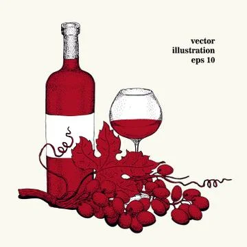 Vector grape, wine, glass illustration. Can be use for background, design, .. Stock Illustration