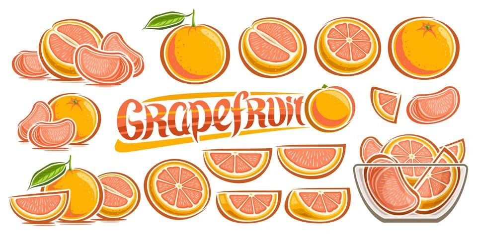 Vector Grapefruit Set イラスト素材