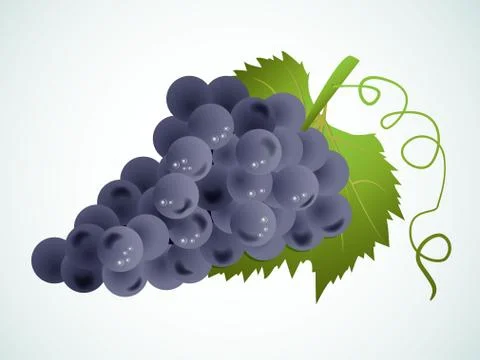 Vector grapes Stock Illustration