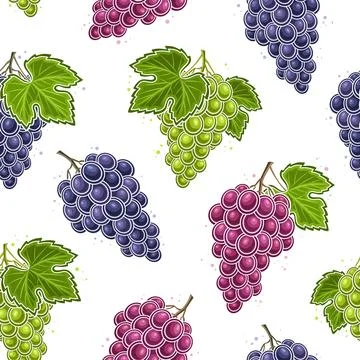 Vector Grapes Seamless Pattern イラスト素材