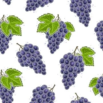 Vector Grapes Seamless Pattern Stock Illustration