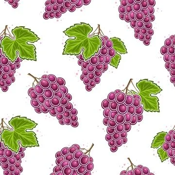 Vector Grapes Seamless Pattern イラスト素材