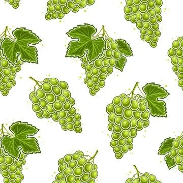 Vector Grapes Seamless Pattern Illustrazione stock