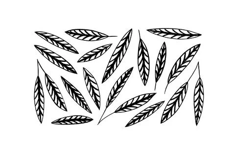 Vector graphic black leaves with decorative veins. Stock Illustration