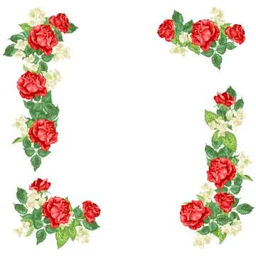 Vector graphic decor element with jasmine flowers and roses Stock Illustration