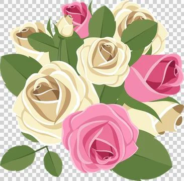 A vector graphic featuring a bouquet of roses, pink and cream colored, with.. Stock Illustration