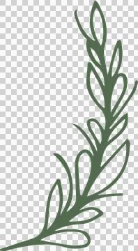 Vector graphic is featuring stylized green branch sprig with oval leaves on Stock Illustration