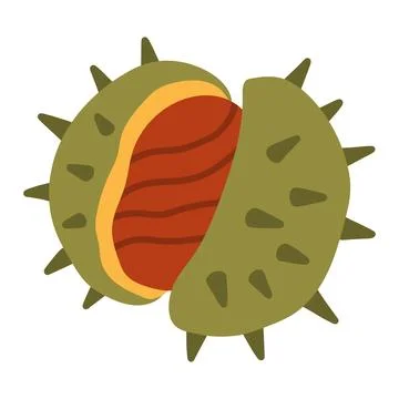 Vector graphic of a green spiky chestnut burr opening to reveal a textured brown Stock Illustration