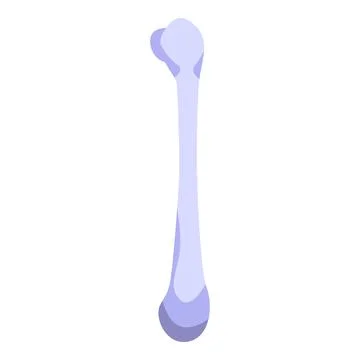 Vector graphic of a human femur bone, isolated on a white background, suitable Stock Illustration