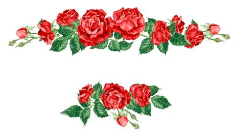 Vector graphic illustration with rose flowers in headline frame Stock Illustration