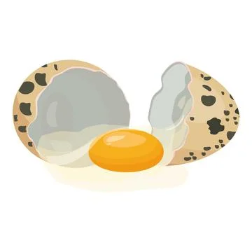 Vector graphic of an open quail egg with yolk visible, on a white background Stock Illustration
