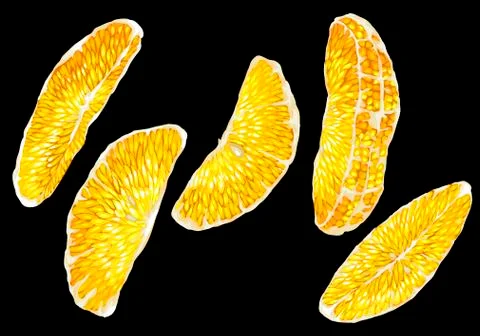 Vector graphic set with citrus orange fruit tree slices of different shapes Stock-Illustration