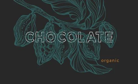 Vector graphic template. Cacao tree, branch, leaves, bean. Vintage exotic ban Illustrazione stock