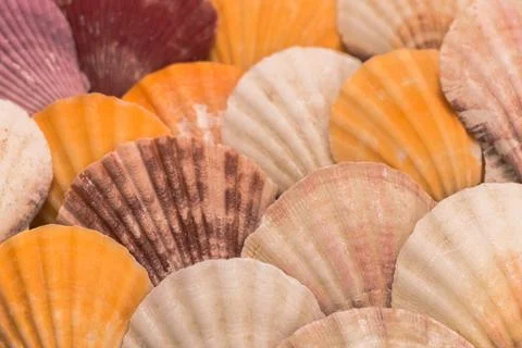 Vector graphics, abstract background in trend colors for presentation, banner, Stock-Fotos