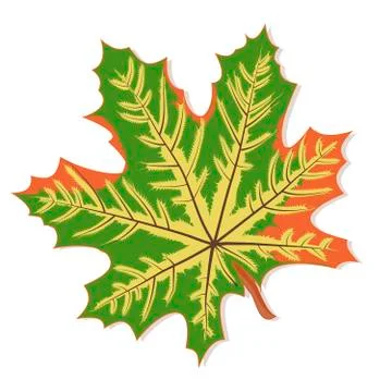 Vector graphics clipart Green Maple Leaf Stock Illustration