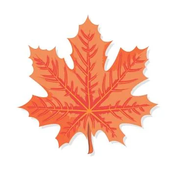 Vector graphics clipart Orange Maple Leaf Stock Illustration