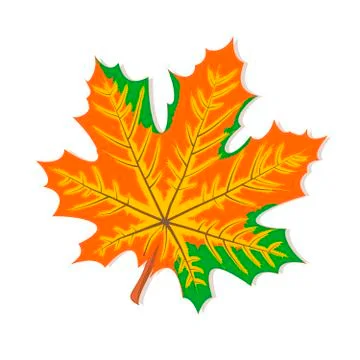 Vector graphics clipart Red Maple Leaf Stock Illustration